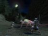 LOTROnline 5